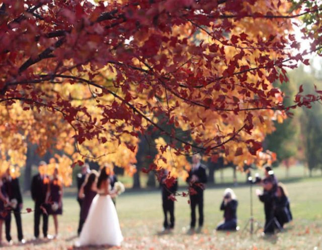 برگزاری-جشن-عروسی-در-فصل-پاییز