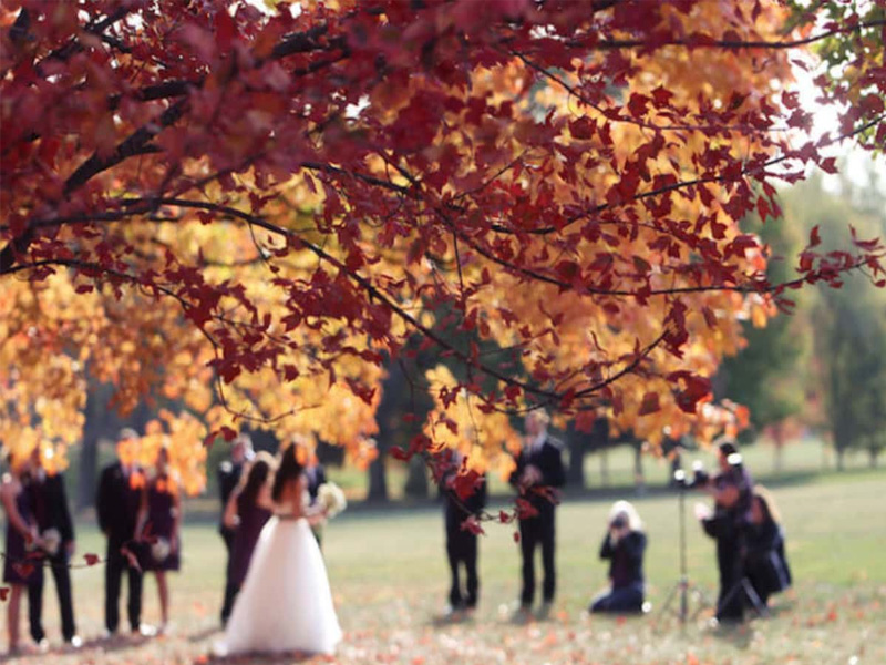 برگزاری-جشن-عروسی-در-فصل-پاییز